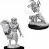 Other D&D Nolzur's Marvelous Unpainted Miniatures: Male Human Druid