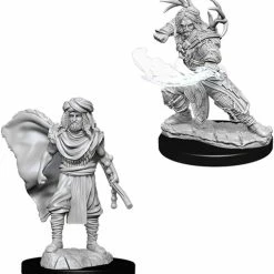 Other D&D Nolzur's Marvelous Unpainted Miniatures: Male Human Druid