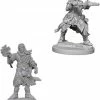 Other Pathfinder Deep Cuts Unpainted Miniatures: Male Human Wizard