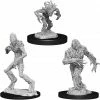 Other D&D Nolzur's Marvelous Unpainted Miniatures: Blights