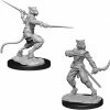 Other D&D Nolzur's Marvelous Unpainted Miniatures: Male Tabaxi Rogue (73540)