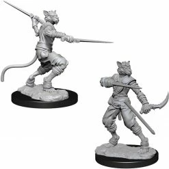 Other D&D Nolzur's Marvelous Unpainted Miniatures: Male Tabaxi Rogue (73540)