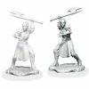 Common Ground Games Critical Role Unpainted Miniatures Female Half Elf Echo-Knight & Echo (90379)