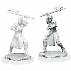 Common Ground Games Critical Role Unpainted Miniatures Female Half Elf Echo-Knight & Echo (90379)