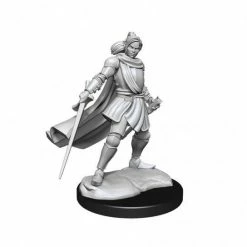 Common Ground Games Critical Role Unpainted Miniatures Female Half-Elf Paladin Xhorhas (90390)