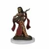 Common Ground Games Pathfinder Battles Premium Female Human Bard (77518) Miniatures