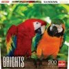 Common Ground Games Brights Parrots 300pc Puzzles