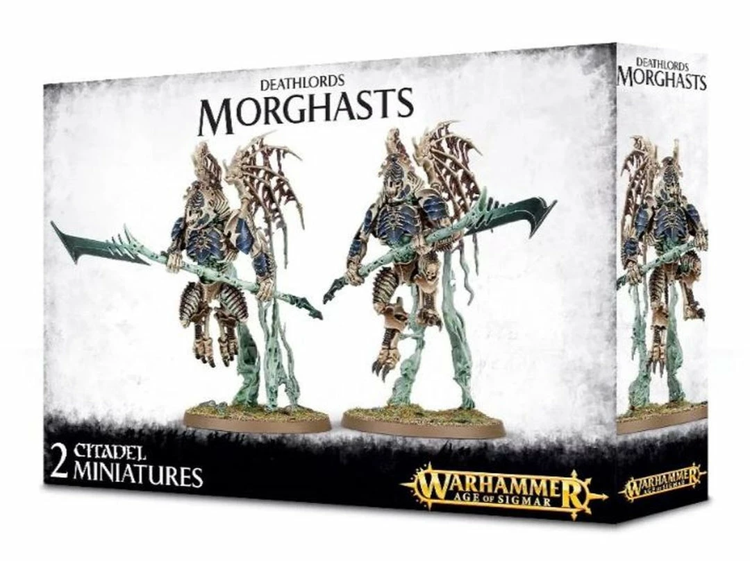 Other Warhammer Age Of Sigmar Deathlords Morghasts Miniatures
