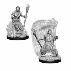 Other D&D Nolzur's Marvelous Unpainted Miniatures: Water Genasi Male Druid