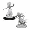 Other D&D Nolzur's Marvelous Unpainted Miniatures: Wraith & Specter