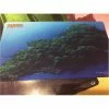 Other Ultra Pro Playmat Magic The Gathering Unhinged Island Signed By John Avon