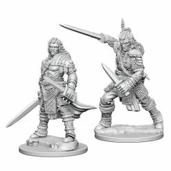 Other Pathfinder Deep Cuts Unpainted Miniatures: Human Male Fighter