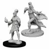Other Pathfinder Deep Cuts Unpainted Miniatures: Elf Female Sorcerer