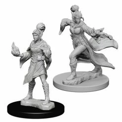 Other Pathfinder Deep Cuts Unpainted Miniatures: Elf Female Sorcerer