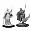 Other Pathfinder Deep Cuts Unpainted Miniatures: Female Human Oracle