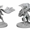 Other Pathfinder Deep Cuts Unpainted Miniatures: Elf Female Paladin