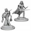 Other Pathfinder Deep Cuts Unpainted Miniatures: Human Female Bard (72610)