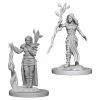 Other D&D Nolzur's Marvelous Unpainted Miniatures: Human Female Druid (72640)