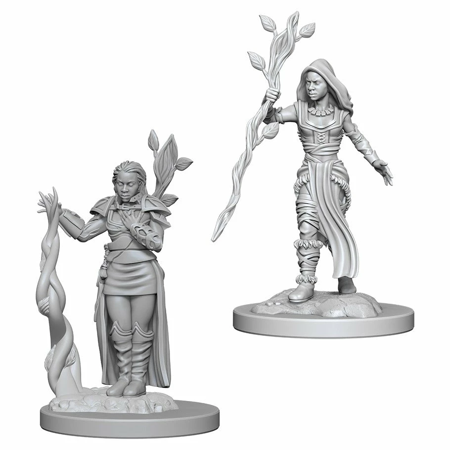 Other D&D Nolzur's Marvelous Unpainted Miniatures: Human Female Druid (72640)