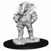 Common Ground Games Magic The Gathering Unpainted Miniature Quintorius Field Historian (90347)
