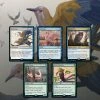 Other MTG: Secret Lair Drop: Ornithological Studies