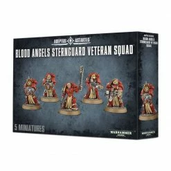 Other Warhammer 40,000 Adeptus Astartes Blood Angels Sternguard Veteran