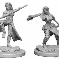 Other D&D Nolzur's Marvelous Unpainted Miniatures: Human Female Monk