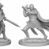 Other Pathfinder Deep Cuts Unpainted Miniatures: Elf Male Paladin
