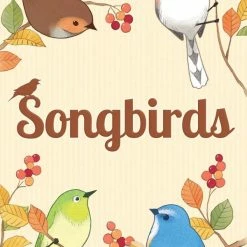 Other 1 Player Games Songbirds