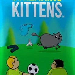 Other Exploding Kittens: Streaking Kittens Expansion