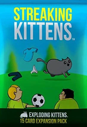 Other Exploding Kittens: Streaking Kittens Expansion