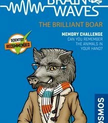 Other Brainwaves: The Brilliant Boar 1 Player Games