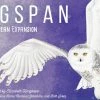 Other Wingspan: European Expansion Board Games