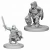 Other D&D Nolzur's Marvelous Unpainted Miniatures: Dwarf Female Paladin