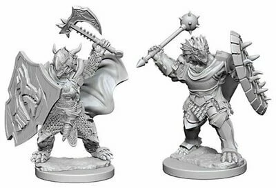 Other D&D Nolzur's Marvelous Unpainted Miniatures: Dragonborn Male Paladin