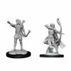Common Ground Games Miniatures Pathfinder Deep Cuts Female Human Fighter (90326)