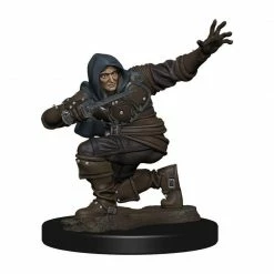 Other Pathfinder Battles Premium Painted Figure Human Male Rogue (77500) Miniatures