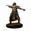 Other Pathfinder Battles Premium Painted Figure Half-Elf Male Ranger (77505)