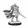 Common Ground Games 90302 F Dragonborn Fighter