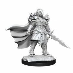 Common Ground Games 90302 F Dragonborn Fighter