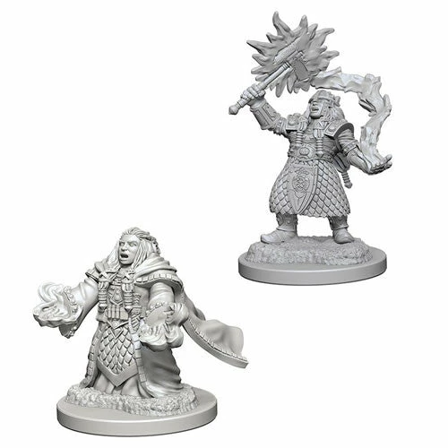 Other D&D Nolzur's Marvelous Unpainted Miniatures: Dwarf Female Cleric
