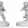 Other D&D Nolzur's Marvelous Unpainted Miniatures: Halfling Female Rogue