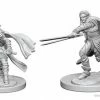 Other D&D Nolzur's Marvelous Unpainted Miniatures: Elf Male Ranger