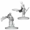 Other D&D Nolzur's Marvelous Unpainted Miniatures: Elf Female Druid