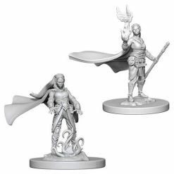 Other D&D Nolzur's Marvelous Unpainted Miniatures: Elf Female Druid