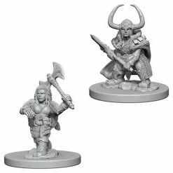 Other D&D Nolzur's Marvelous Unpainted Miniatures: Dwarf Female Barbarian
