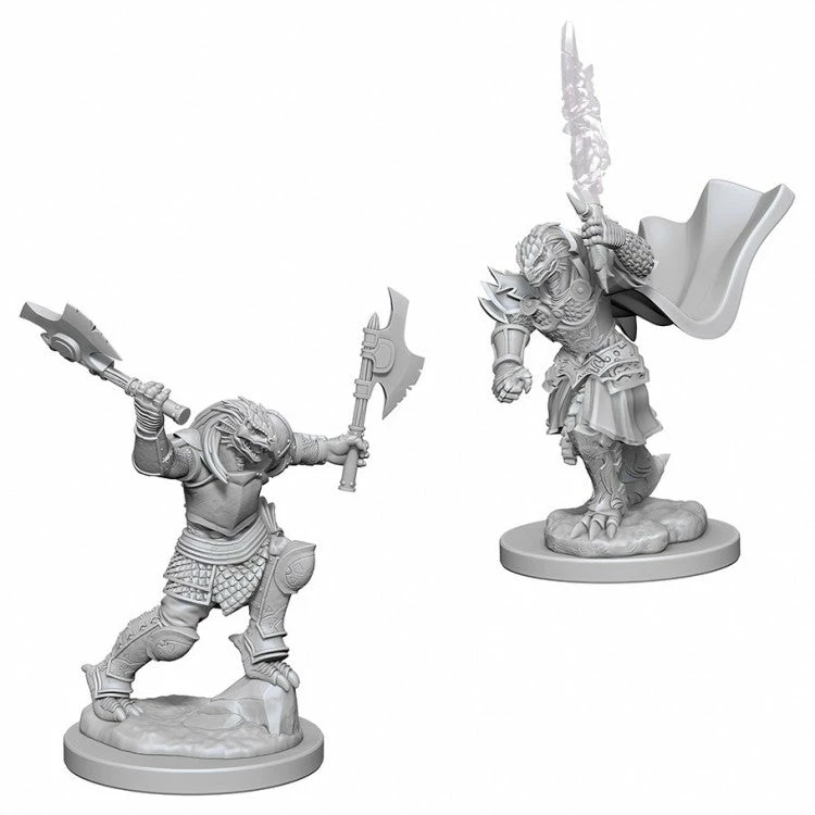 Other D&D Nolzur's Marvelous Unpainted Miniatures: Dragonborn Female Fighter