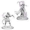 Other D&D Nolzur's Marvelous Unpainted Miniatures: Tiefling Female Sorcerer