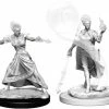 Other D&D Nolzur's Marvelous Unpainted Miniatures: Fire Genasi Female Wizard
