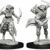 Other D&D Nolzur's Marvelous Unpainted Miniatures: Tiefling Female Rogue